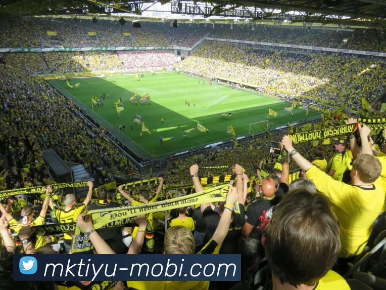 MK体育服务体系