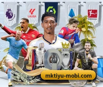 MK体育 APP - mksports